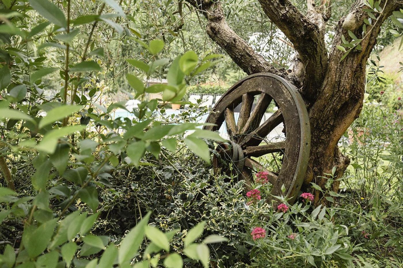 Agriturismo L'Essiccatoio Lisciano Niccone Εξωτερικό φωτογραφία